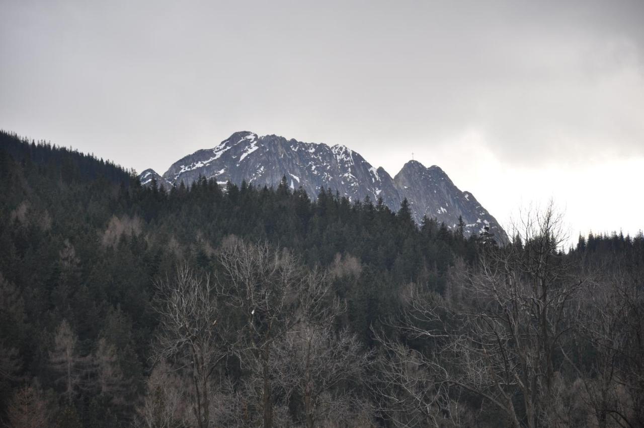 Willa Bystry, Pod Nosalem Zakopane Exterior foto